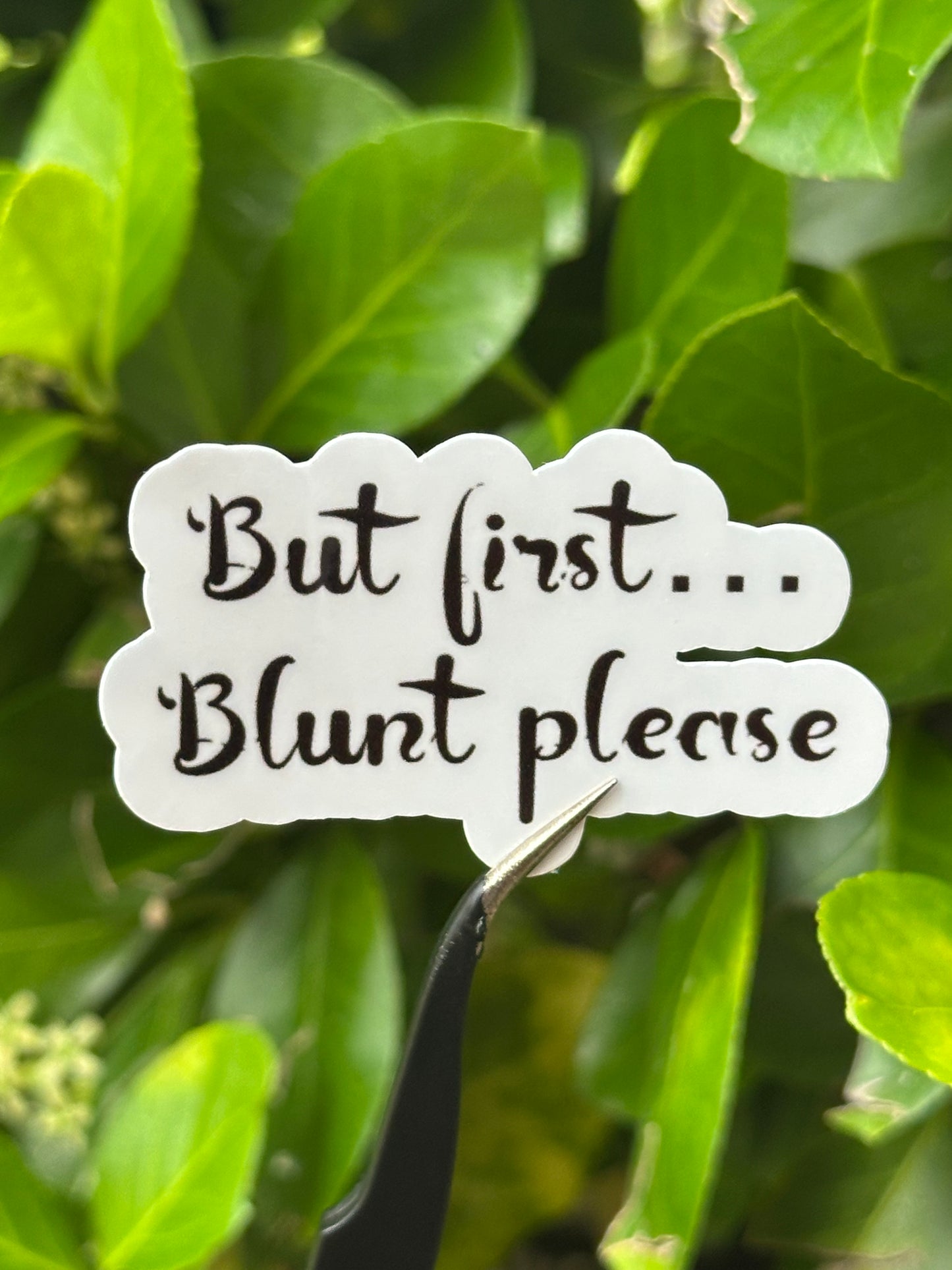 But First, Blunt Please (wording) Sticker